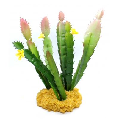 Roślina do terrarium WILCZOMLECZ kaktus 18cm